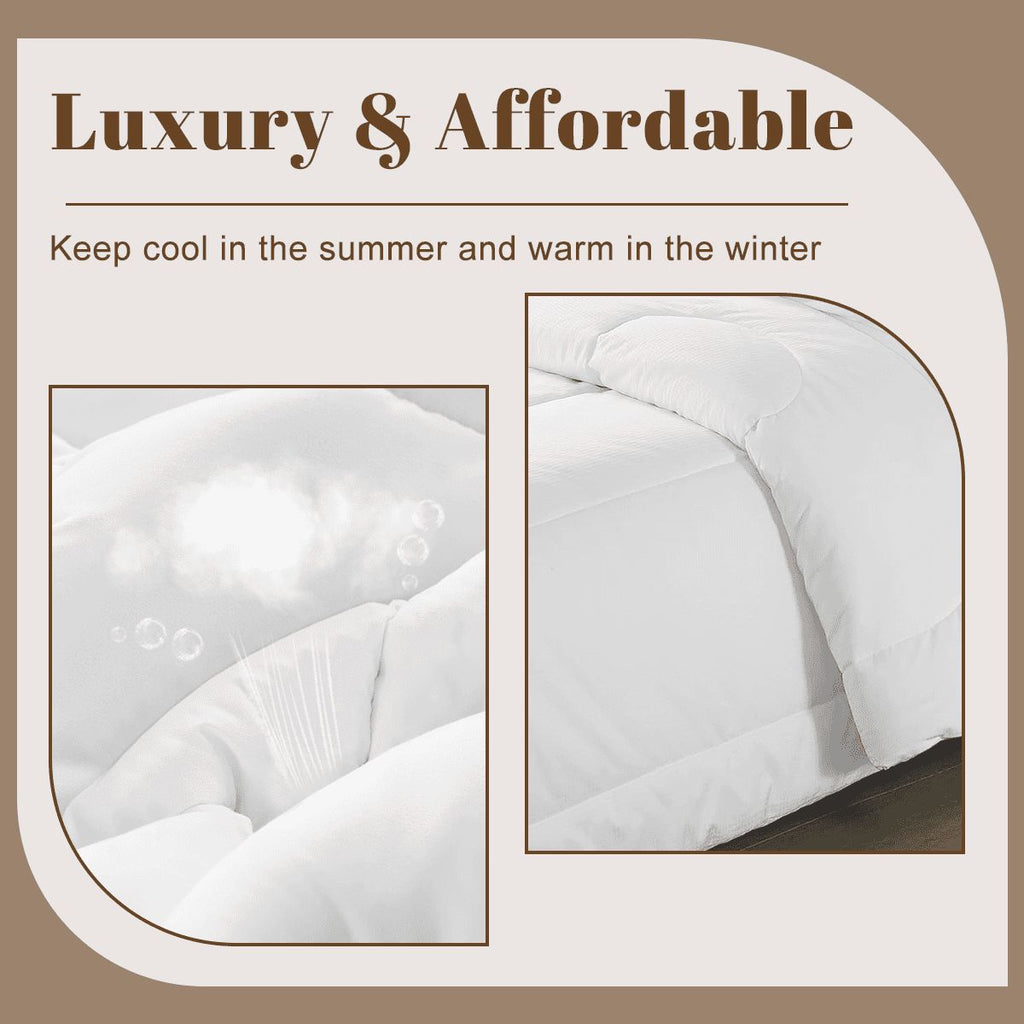 King Comforter Set 1 - Standout